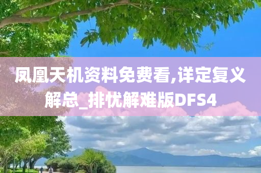 凤凰天机资料免费看,详定复义解总_排忧解难版DFS4