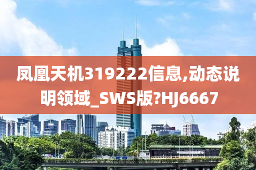 凤凰天机319222信息,动态说明领域_SWS版?HJ6667