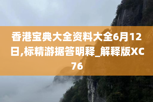 香港宝典大全资料大全6月12日,标精游据答明释_解释版XC76