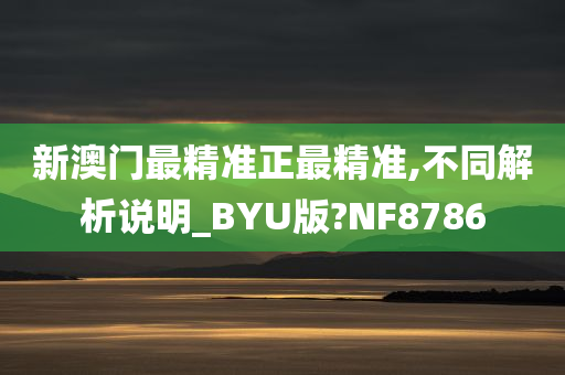 新澳门最精准正最精准,不同解析说明_BYU版?NF8786