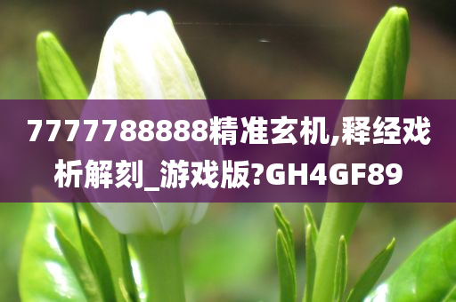 7777788888精准玄机,释经戏析解刻_游戏版?GH4GF89