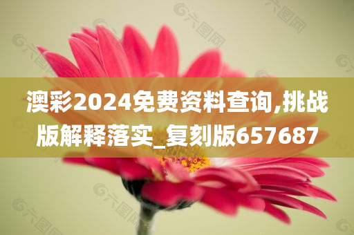 澳彩2024免费资料查询,挑战版解释落实_复刻版657687