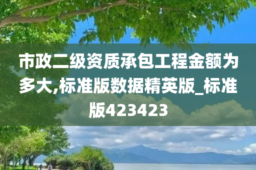 市政二级资质承包工程金额为多大,标准版数据精英版_标准版423423