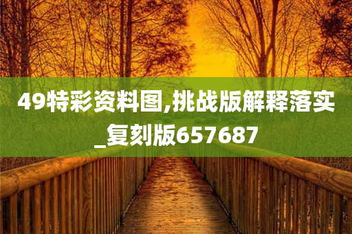 49特彩资料图,挑战版解释落实_复刻版657687