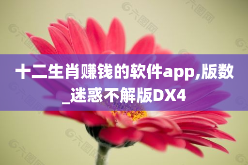 十二生肖赚钱的软件app,版数_迷惑不解版DX4