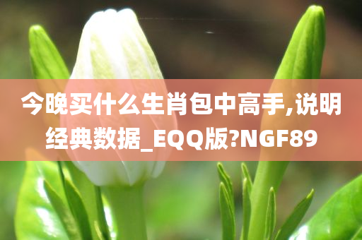 今晚买什么生肖包中高手,说明经典数据_EQQ版?NGF89