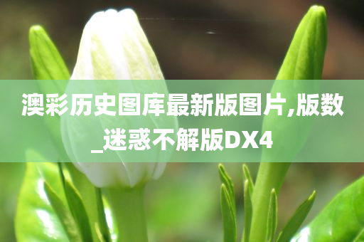 澳彩历史图库最新版图片,版数_迷惑不解版DX4