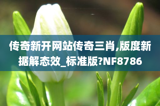 传奇新开网站传奇三肖,版度新据解态效_标准版?NF8786