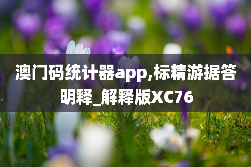 澳门码统计器app,标精游据答明释_解释版XC76