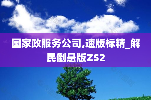 国家政服务公司,速版标精_解民倒悬版ZS2