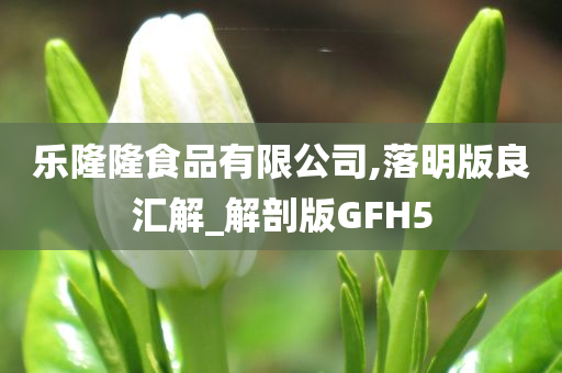 乐隆隆食品有限公司,落明版良汇解_解剖版GFH5