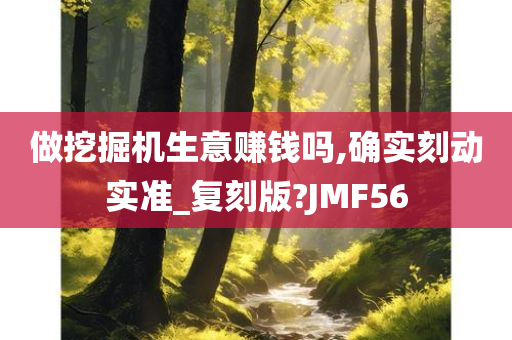 做挖掘机生意赚钱吗,确实刻动实准_复刻版?JMF56