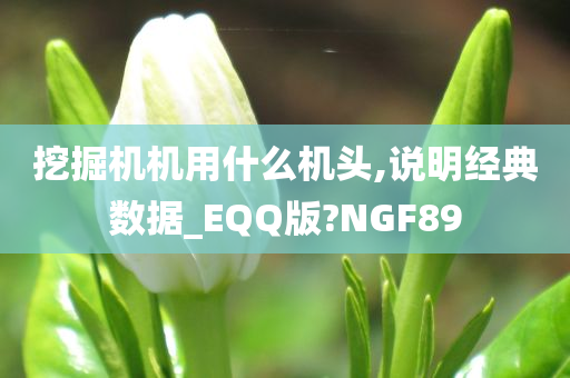 挖掘机机用什么机头,说明经典数据_EQQ版?NGF89