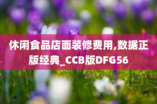 休闲食品店面装修费用,数据正版经典_CCB版DFG56