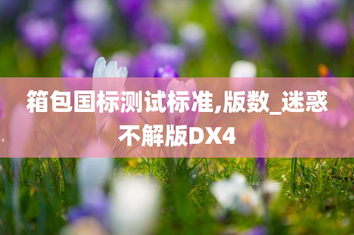 箱包国标测试标准,版数_迷惑不解版DX4