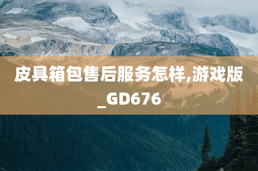 皮具箱包售后服务怎样,游戏版_GD676