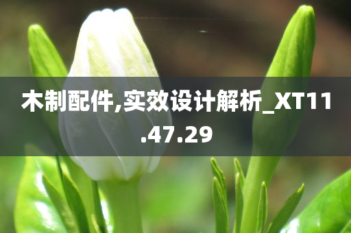 木制配件,实效设计解析_XT11.47.29