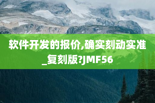 软件开发的报价,确实刻动实准_复刻版?JMF56