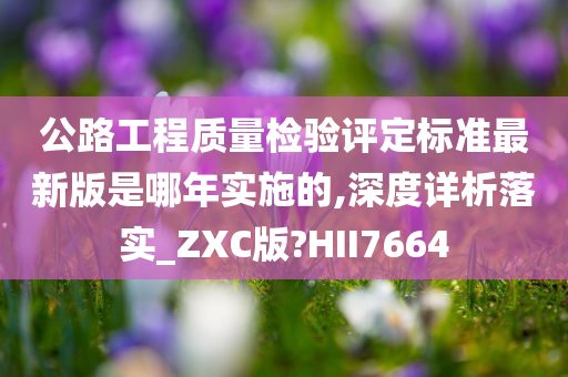 公路工程质量检验评定标准最新版是哪年实施的,深度详析落实_ZXC版?HII7664