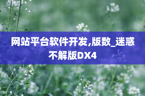 网站平台软件开发,版数_迷惑不解版DX4