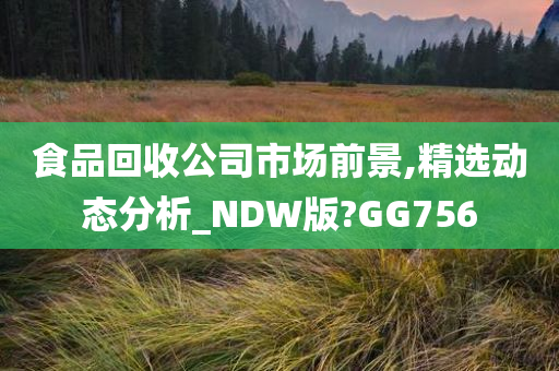 食品回收公司市场前景,精选动态分析_NDW版?GG756