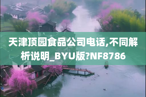 天津顶园食品公司电话,不同解析说明_BYU版?NF8786