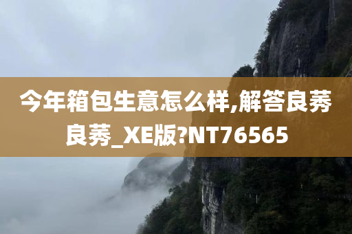 今年箱包生意怎么样,解答良莠良莠_XE版?NT76565