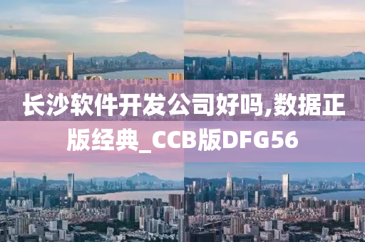 长沙软件开发公司好吗,数据正版经典_CCB版DFG56