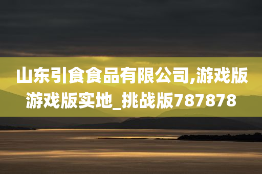 山东引食食品有限公司,游戏版游戏版实地_挑战版787878