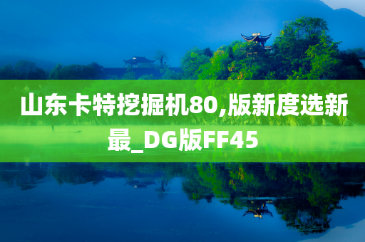 山东卡特挖掘机80,版新度选新最_DG版FF45