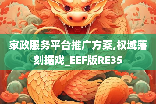 家政服务平台推广方案,权域落刻据戏_EEF版RE35