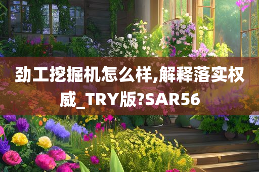 劲工挖掘机怎么样,解释落实权威_TRY版?SAR56