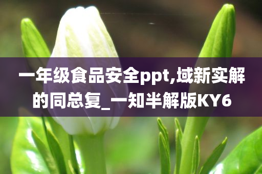 一年级食品安全ppt,域新实解的同总复_一知半解版KY6