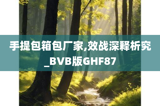 手提包箱包厂家,效战深释析究_BVB版GHF87