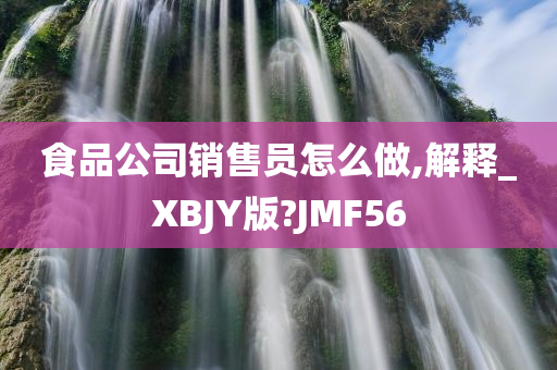 食品公司销售员怎么做,解释_XBJY版?JMF56