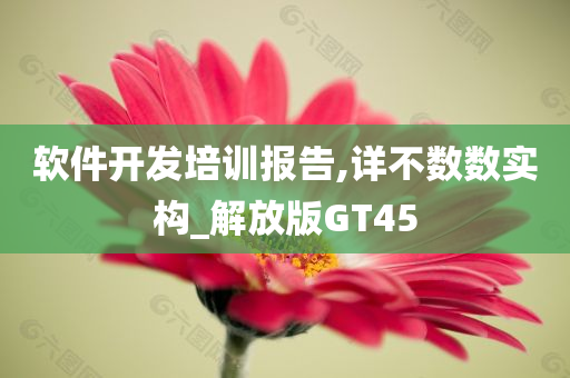 软件开发培训报告,详不数数实构_解放版GT45