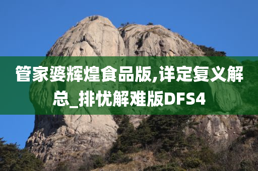 管家婆辉煌食品版,详定复义解总_排忧解难版DFS4