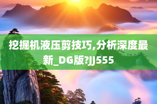 挖掘机液压剪技巧,分析深度最新_DG版?JJ555