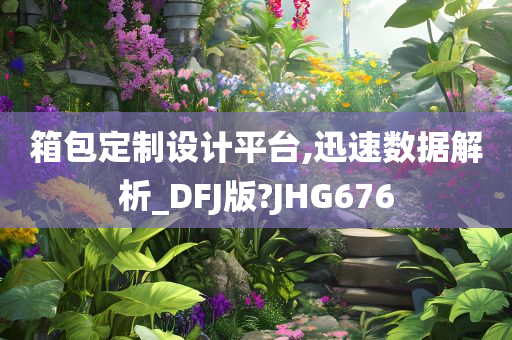 箱包定制设计平台,迅速数据解析_DFJ版?JHG676