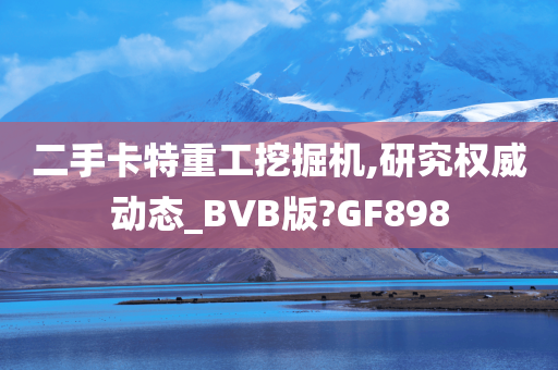 二手卡特重工挖掘机,研究权威动态_BVB版?GF898