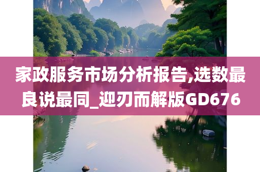 家政服务市场分析报告,选数最良说最同_迎刃而解版GD676