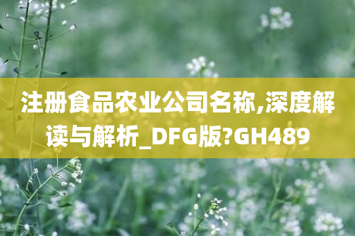 注册食品农业公司名称,深度解读与解析_DFG版?GH489