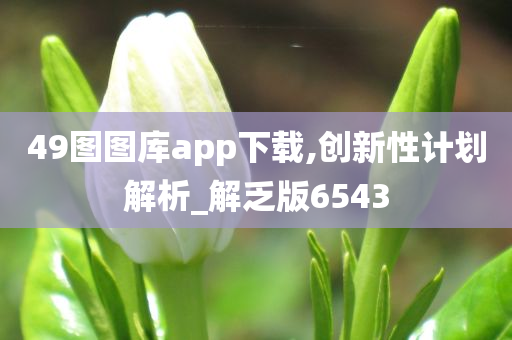 49图图库app下载,创新性计划解析_解乏版6543