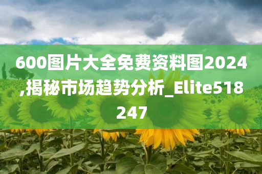 600图片大全免费资料图2024,揭秘市场趋势分析_Elite518247