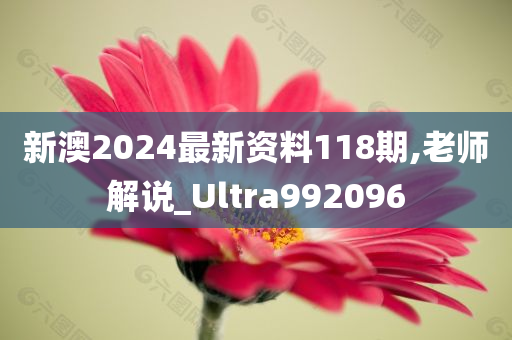 新澳2024