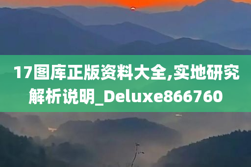 17图库正版资料大全,实地研究解析说明_Deluxe866760