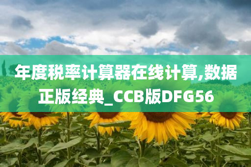 年度税率计算器在线计算,数据正版经典_CCB版DFG56