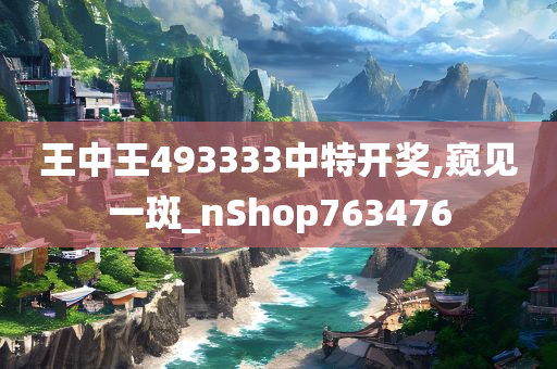 王中王493333中特开奖,窥见一斑_nShop763476