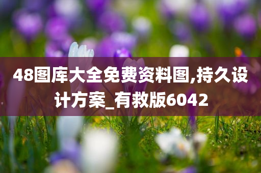 48图库大全免费资料图,持久设计方案_有救版6042