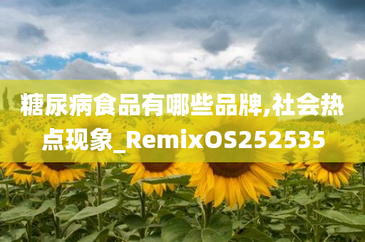 糖尿病食品有哪些品牌,社会热点现象_RemixOS252535